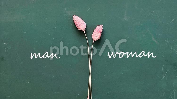 Pink eryngo and man and woman letters placed in the center of the blackboard, lousa, homens e mulheres, homem, JPG