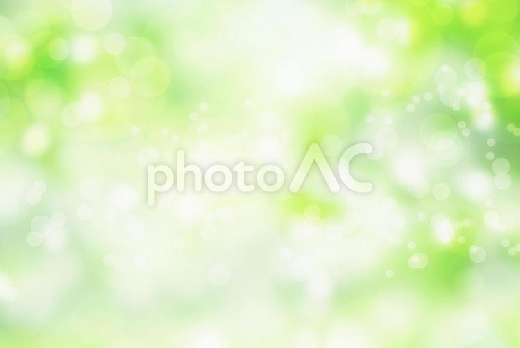 Glitter background of fresh green image, fundo, texturas, verdura fresca, JPG