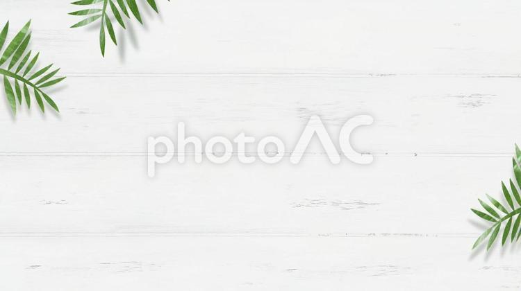 Botanical frame of leaves of foliage plants on a white wood background, quadro, fundo, grão, JPG