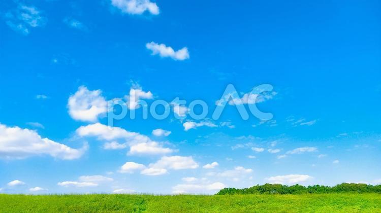 Summer blue sky and fresh green land, verão, céu azul, vazio, JPG
