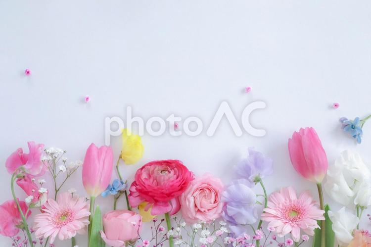 Spring flower frame, flor, quadro, quadro de flores, JPG